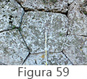Figura 59