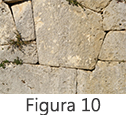 Figura 10