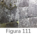 Figura 111