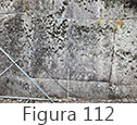 Figura 112