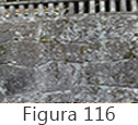 Figura 116