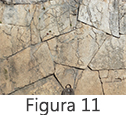 Figura 11