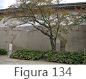 Figura 134