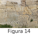 Figura 14