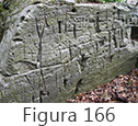 Figura 166