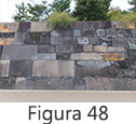 Figura 48