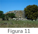 Figura 11