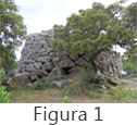 Figura 1