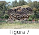 Figura 7